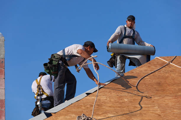 Best Commercial Roofing Services  in Mountain View, NC
