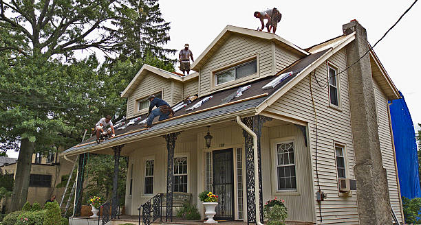 Best Roof Repair Estimates  in Mountain View, NC